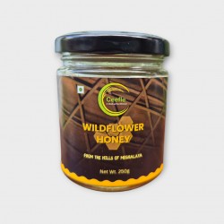 Wild Flower Honey from Meghalaya Wild Flower Honey from Meghalaya