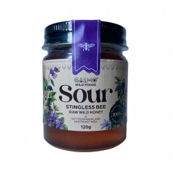 Wild Stingless Bee Honey, Galho