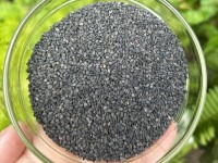 How to cook with Black Sesame (Kala Til)