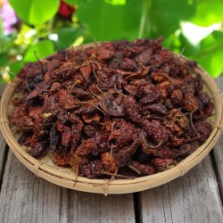 Dry King Chili (Ghost Chili)