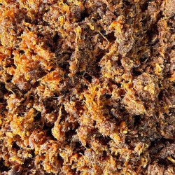 Beef Pickle, HS