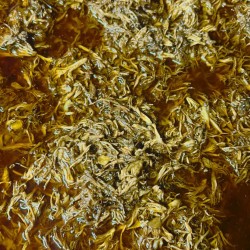 Coral Mushroom Pickle Coral Mushroom Pickle