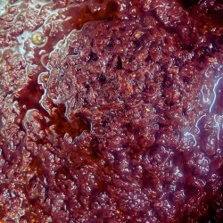 Roselle Flower (Jajew) Pickle