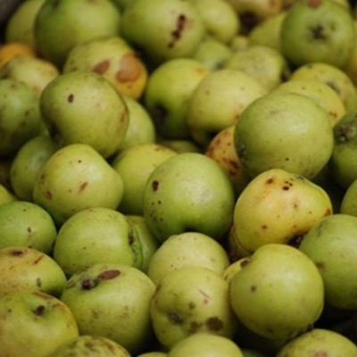 Khasi Wild Apple, Sohphoh Pickle Khasi Wild Apple, Sohphoh Pickle