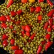 Sohryngkham (Vaccinium Berry) Pickle Sohryngkham (Vaccinium Berry) Pickle