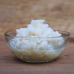 Bamboo Shoot, Plain