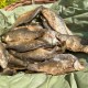 Fermented Fish (On Pre-Order)